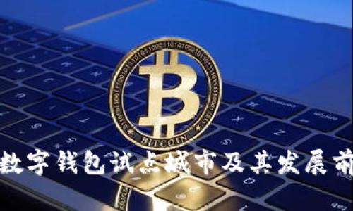: 数字钱包试点城市及其发展前景
