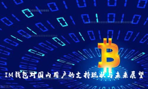 IM钱包对国内用户的支持现状与未来展望