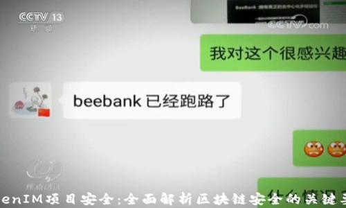 
TokenIM项目安全：全面解析区块链安全的关键要素