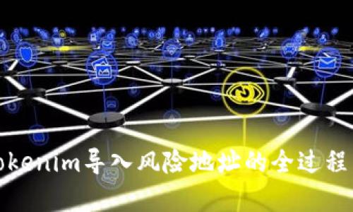 深入解析Tokenim导入风险地址的全过程与应对策略