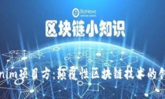 Tokenim项目方：颠覆性区块链技术的创新者