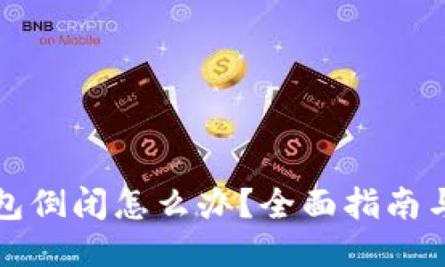 区块链钱包倒闭怎么办？全面指南与预防措施