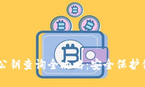 # imToken公钥查询全攻略：安全保护你的数字资产